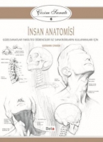 nsan Anatomisi - izim Sanat 6