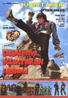 Dnyay Kurtaran Adam (DVD)