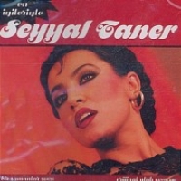 The Best Of Seyyal Taner