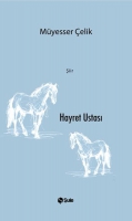 Hayret Ustası Hayret Ustası