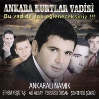 Ankara Kurtlar Vadisi (CD)