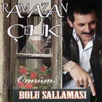 Bolu Sallamas (CD)