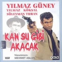 Kan Su Gibi Akacak (VCD)