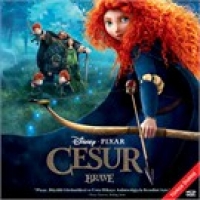 Cesur (2 VCD, DVD Uyumlu)