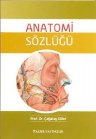 Anatomi Szlğ