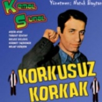 Korkusuz Korkak (VCD)