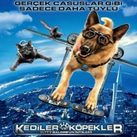 Kediler Ve Kpekler (VCD)