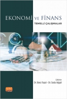 Ekonomi ve Finans Temelli alışmalar