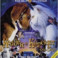Kediler ve Köpekler Kediler ve Köpekler