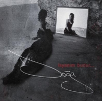 syanm Budur (CD)