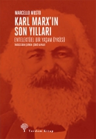 Karl Marx'n Son Yllar: Entelektel Bir Yaam yks
