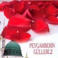 Peygamberin Glleri 2 (CD)
