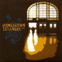 Homegrown Istanbul Vol. 2