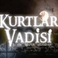 KURTLAR VADISI - Seti -  31. bis 40. Teil