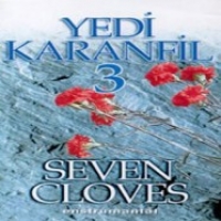 Yedi Karanfil 3 / Seven Cloves