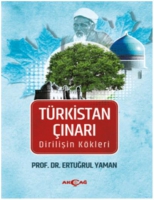 Trkistan ınarı