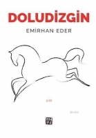 Doludizgin