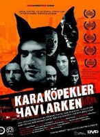 Kara Kpekler Havlarken (DVD)