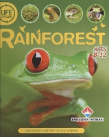 Rainforest Rainforest