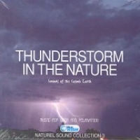 Thunderstorm In The NatureNaturel Sound Collection 3