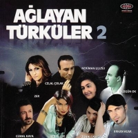 Alayan Trkler 2 (CD)
