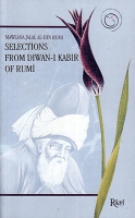 Selections From Diwan-ı