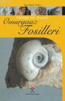 Trkiyenin nemli Omurgasız Fosilleri
