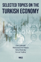 Selected Topics on the Turkish Economy