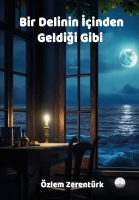 Bir Delinin inden Geldii Gibi