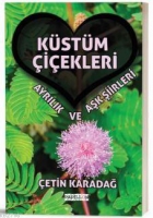 Kstm iekleri
