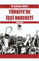 Trkiye'de i Hareketi