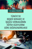 Trkiye'de Beşeri Sermaye ve İşgc Verimliliğinin Eğitim Dzeylerine Gre Değerlendirilmesi ağatay Tunsiper